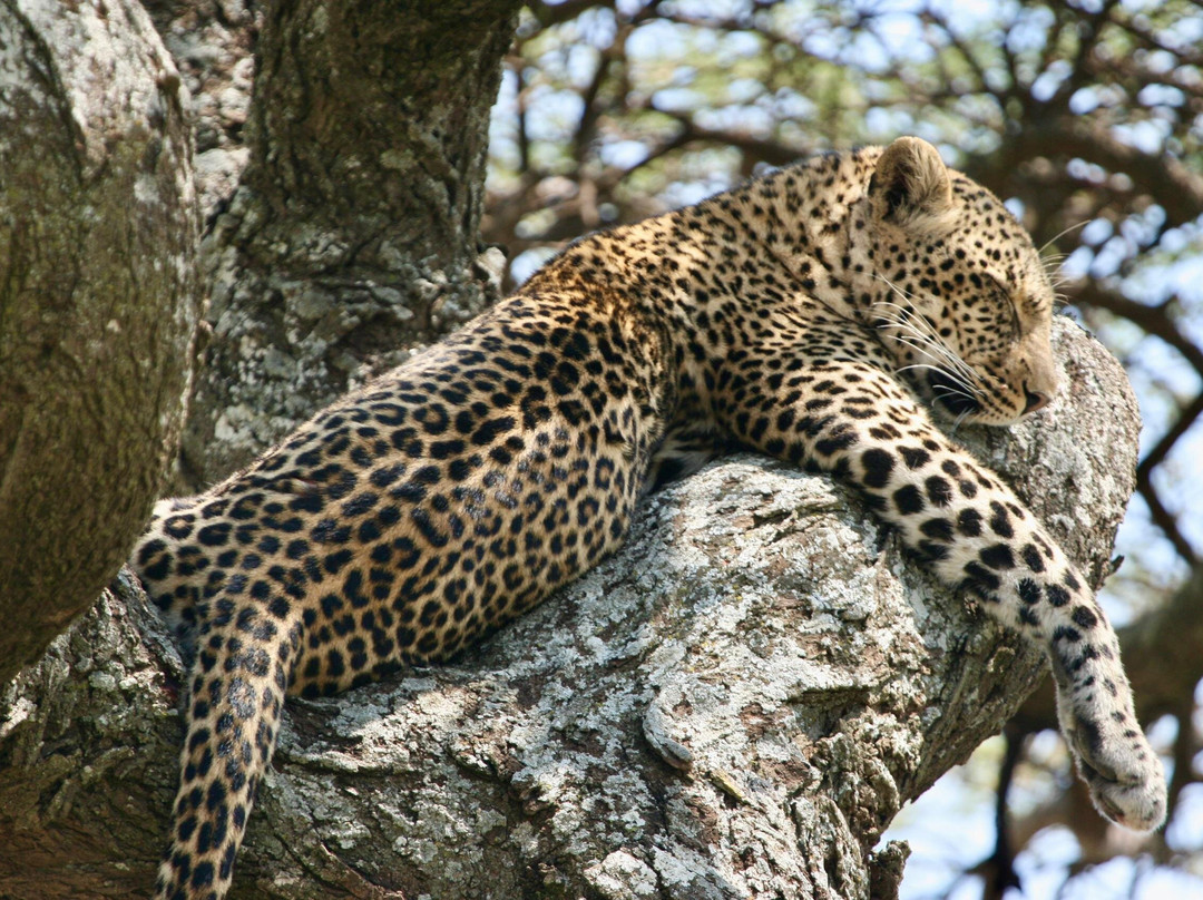 Mamnana Adventures-Olasiti必去景点