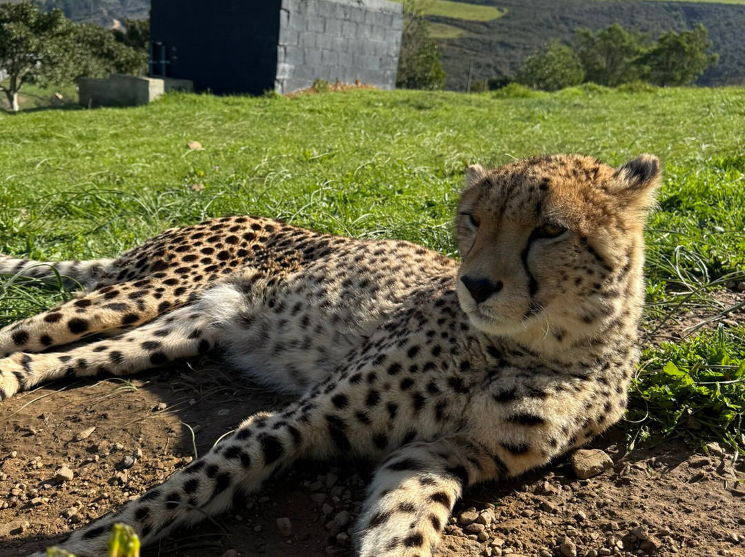 Cornell Skop-Botrivier必去景点