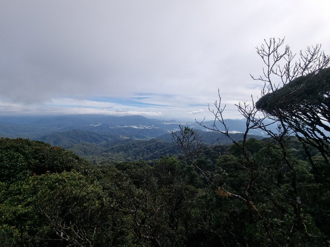 Mossy Forest-碧兰璋必去景点