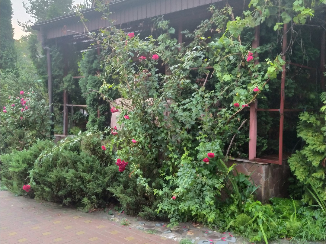 Guest House Edelveys主图