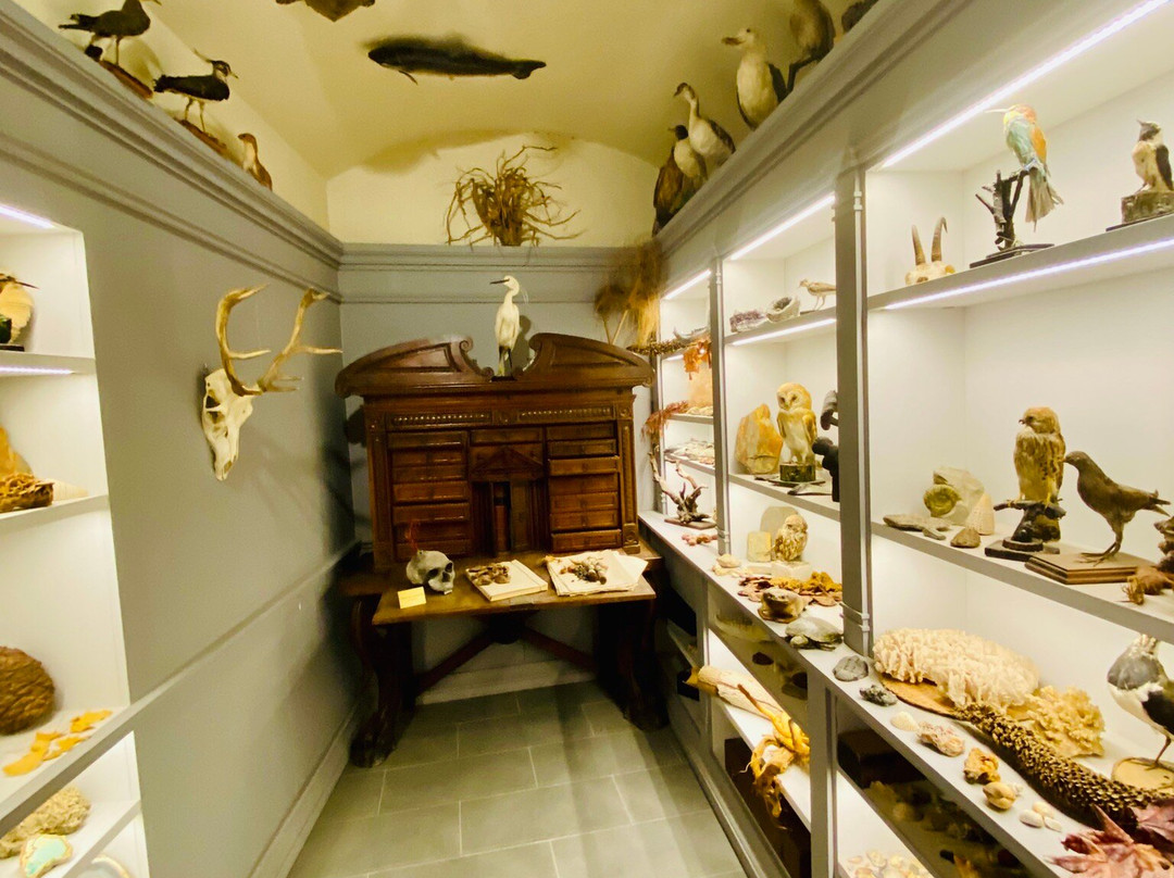 Orto e Museo Botanico di Pisa-比萨必去景点