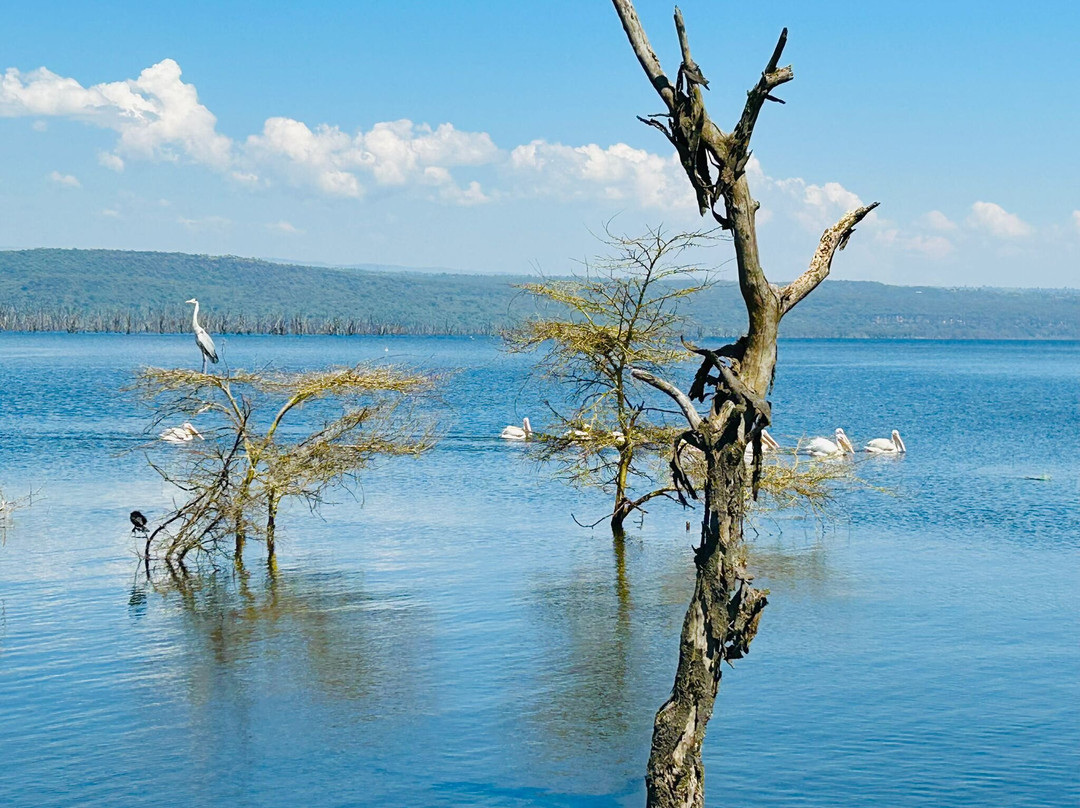 Joseph  Parsae-Amboseli Eco-system必去景点