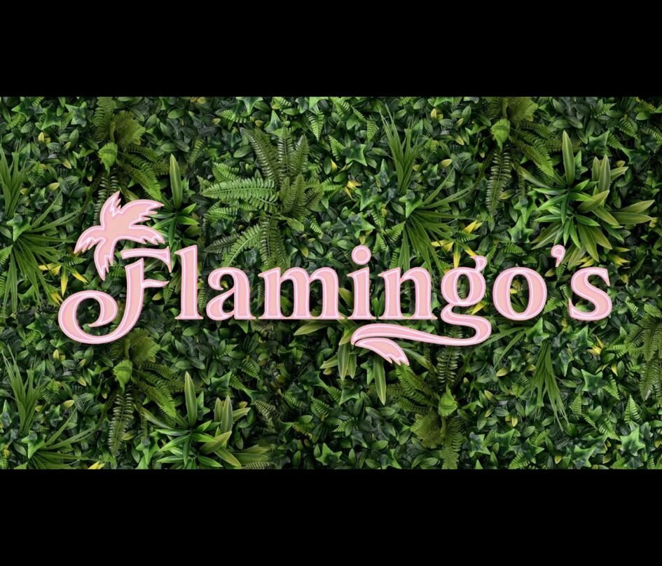Flamingos