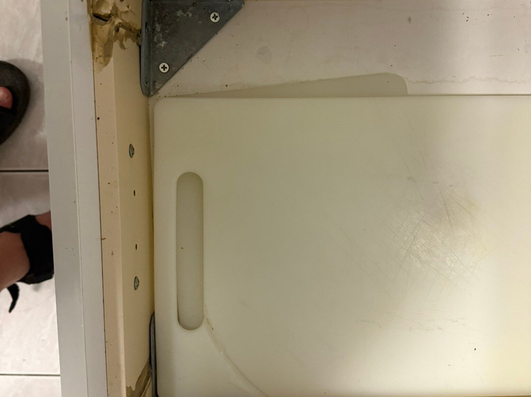 礁棕榈酒店主图