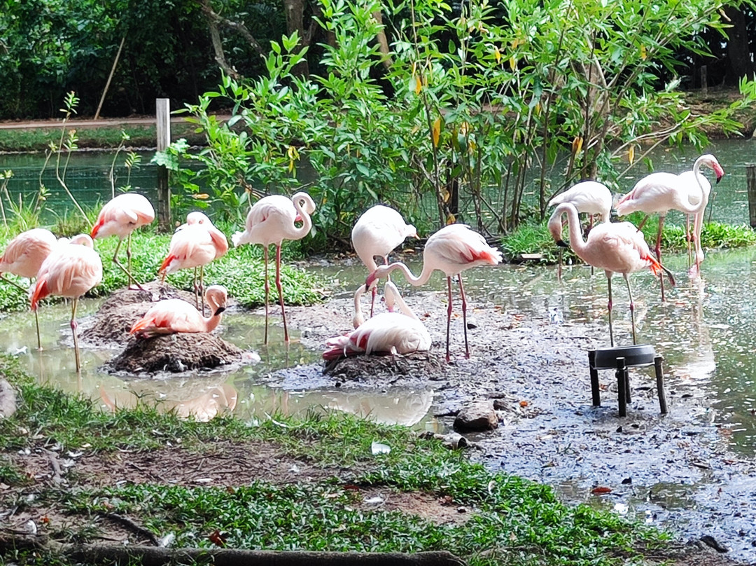 Hotel Grão Pará主图