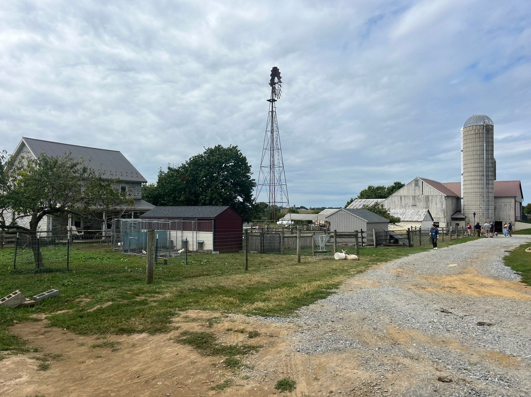 Old Windmill Farm-Ronks必去景点