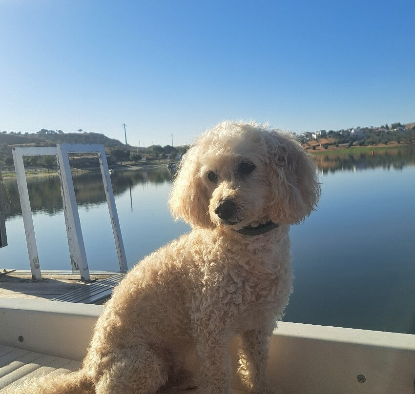 Amieira Marina (Grande Lago - Alqueva)-埃武拉必去景点