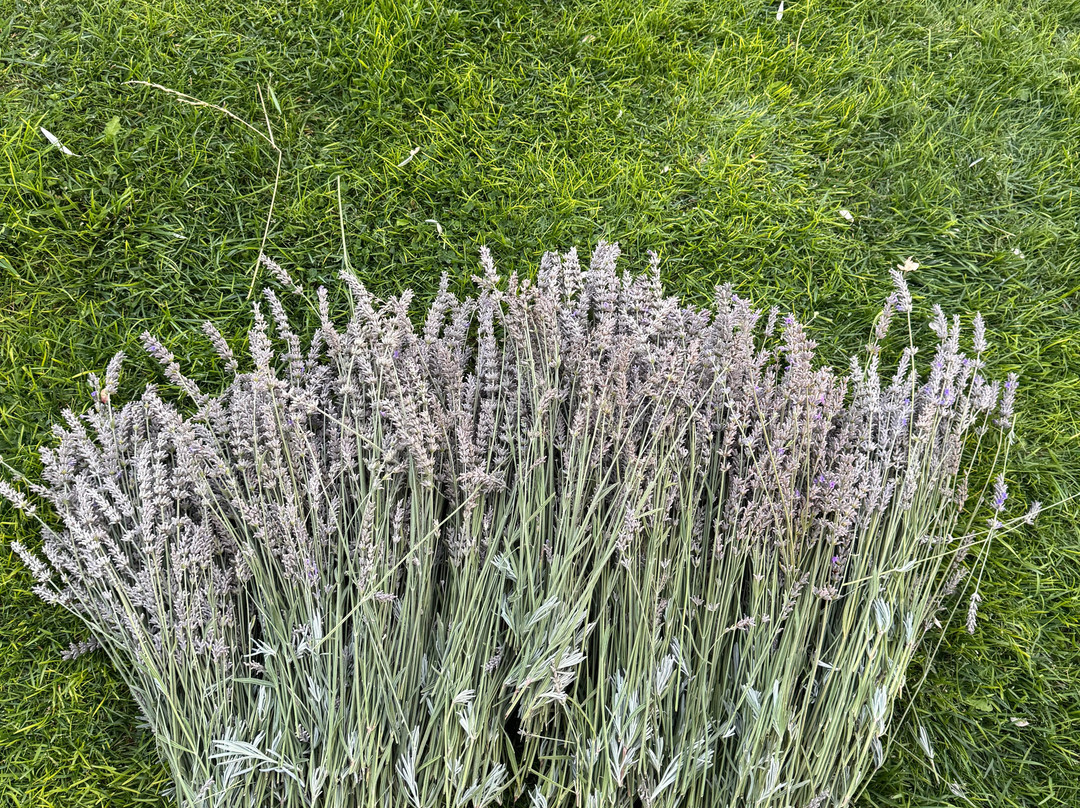 Karlik Evi Boutique Hotel主图