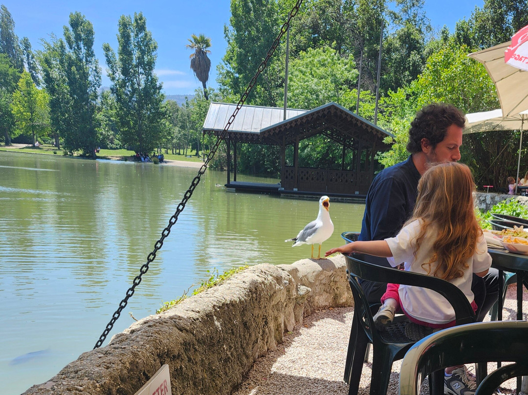 博雷利公园-马赛必去景点