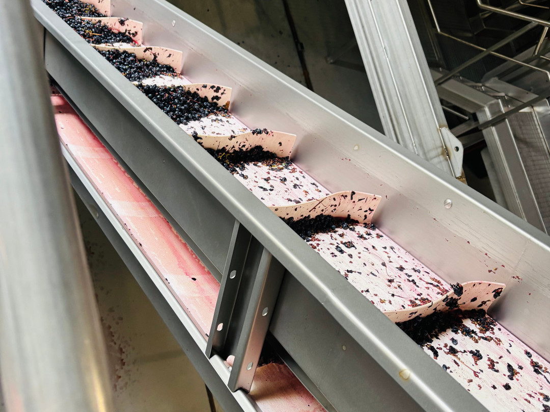 Bergerac Wine Tours-Eymet必去景点