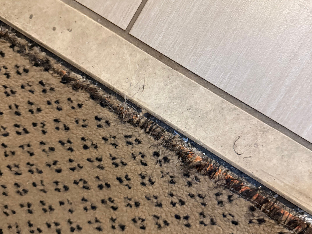 Holiday Inn Harrisburg (Hershey Area) I-81 by IHG主图