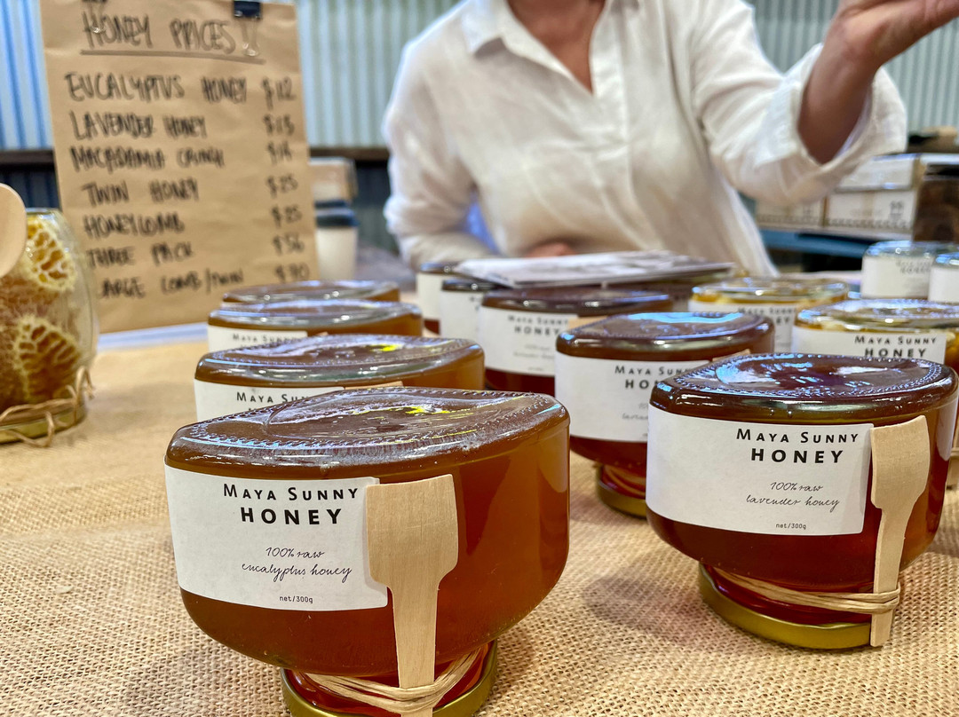 车场空间-悉尼必去景点