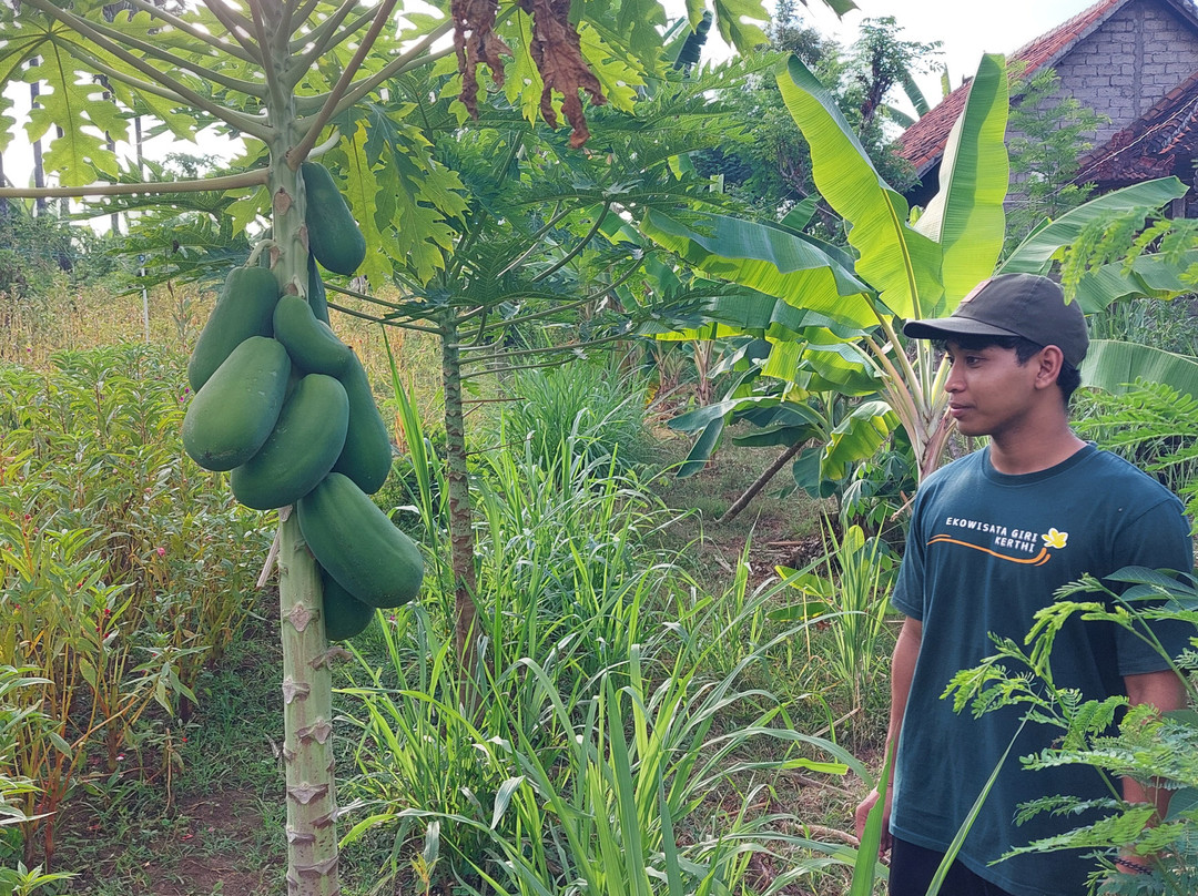 Munduk Udeng- Udengan-布莱伦必去景点