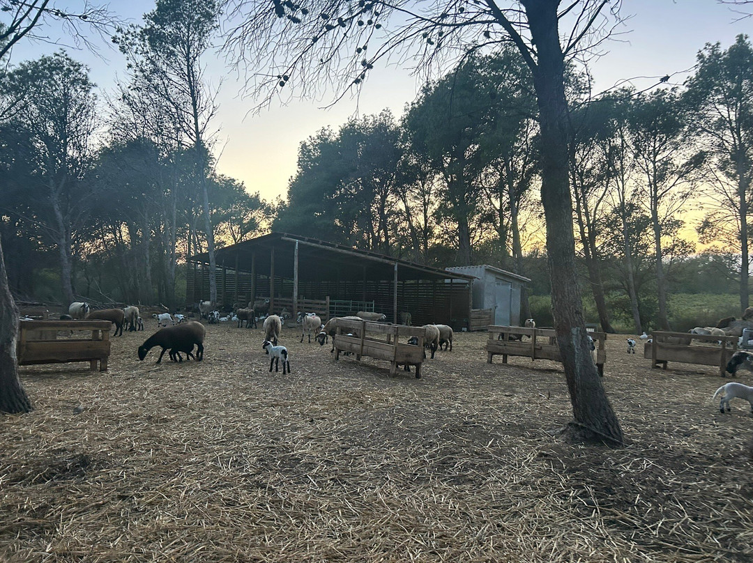 La Vinyeta-Mollet de Peralada必去景点