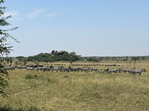 Follow Alice-莫西必去景点