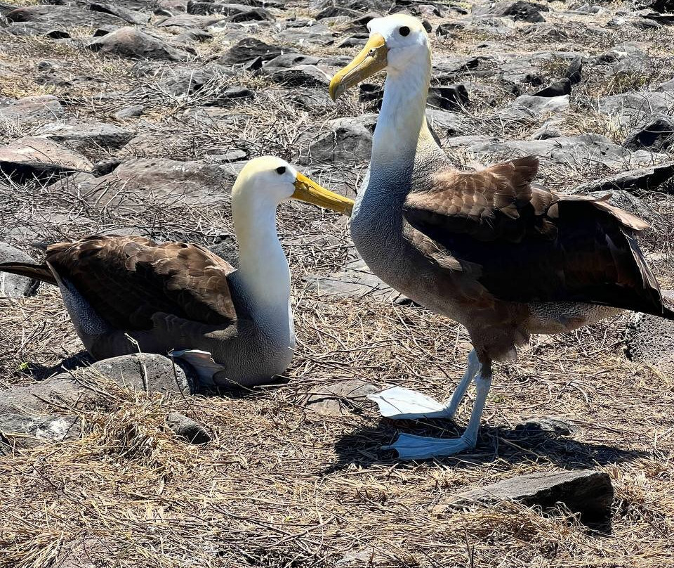 Ecuador Wonders Tour Operator-基多必去景点