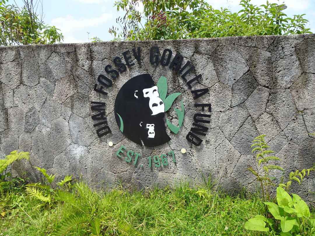 Ellen DeGeneres Campus of the Dian Fossey Gorilla Fund-Kinigi必去景点