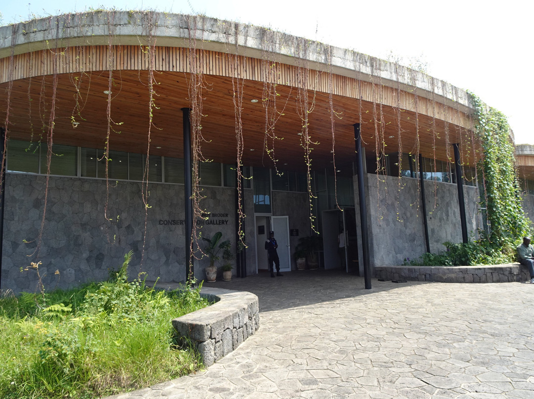 Ellen DeGeneres Campus of the Dian Fossey Gorilla Fund-Kinigi必去景点