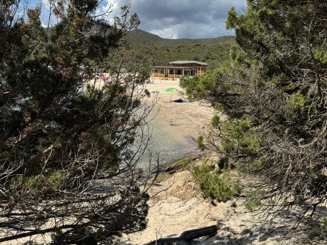 Cala Sassari-Golfo Aranci必去景点