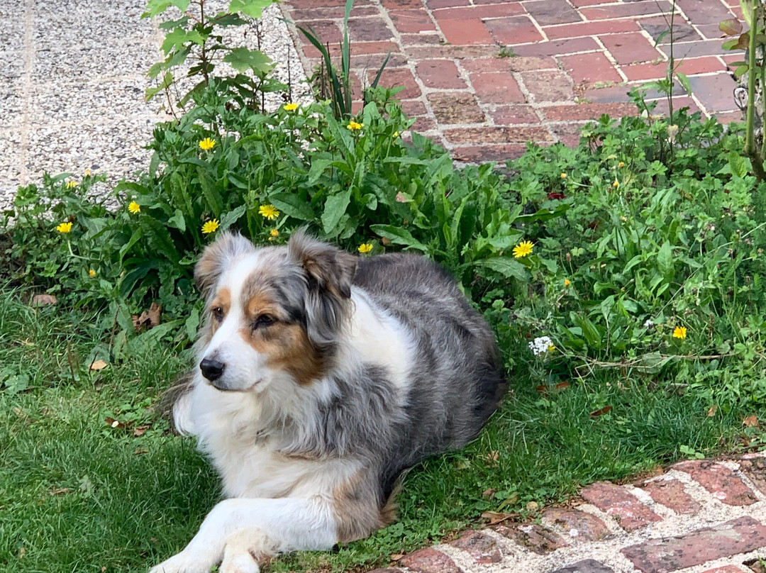 Git'Ane Evasion主图