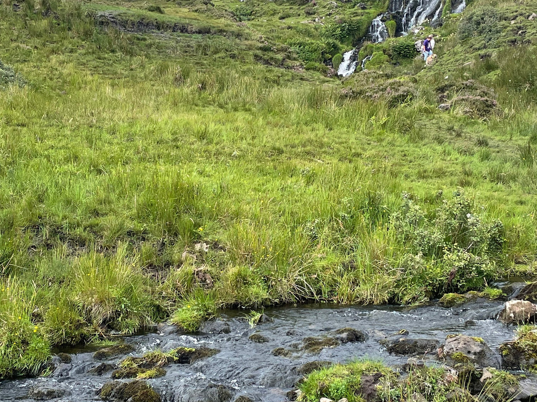 WanderLush Travels-Cottage Grove必去景点