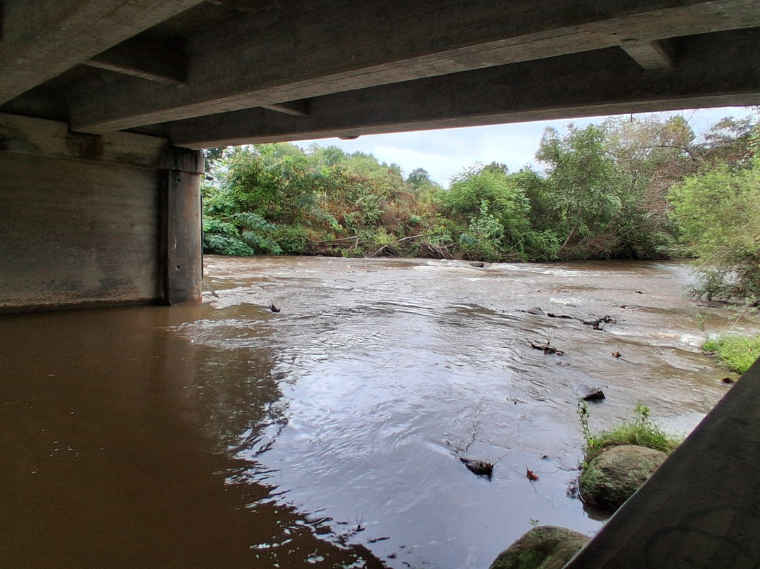 Pilot Mountain State Park-Pinnacle必去景点