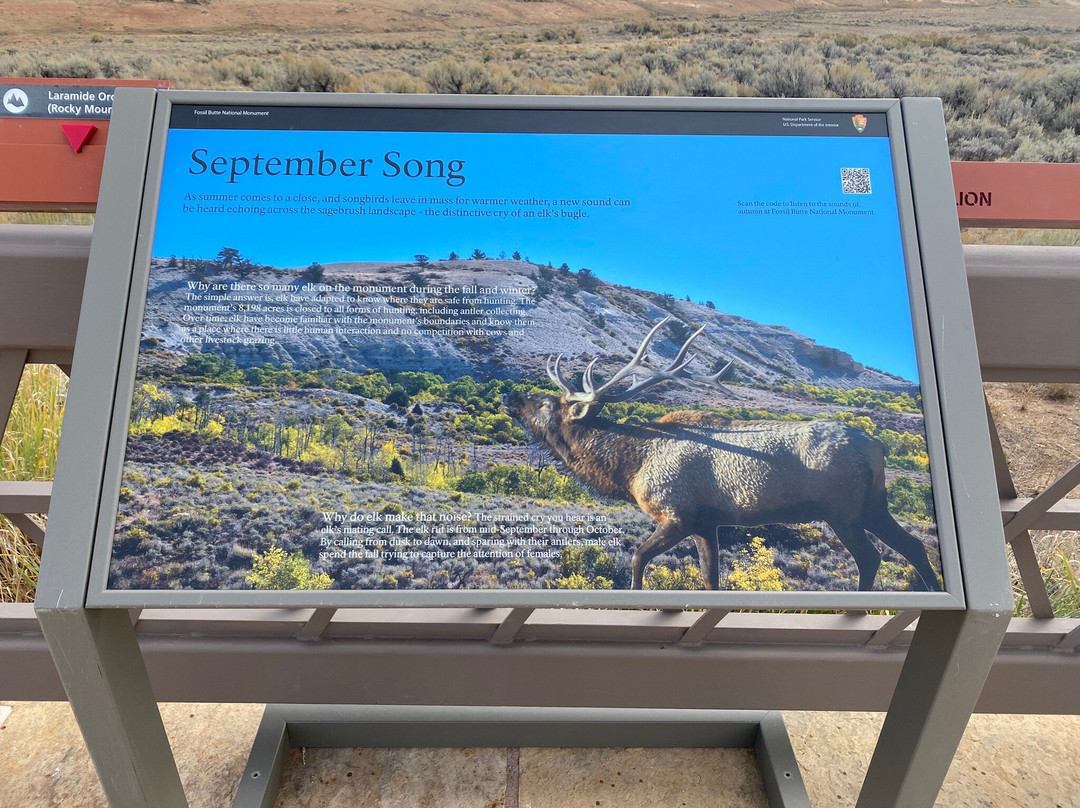 Fossil Butte National Monument-Kemmerer必去景点