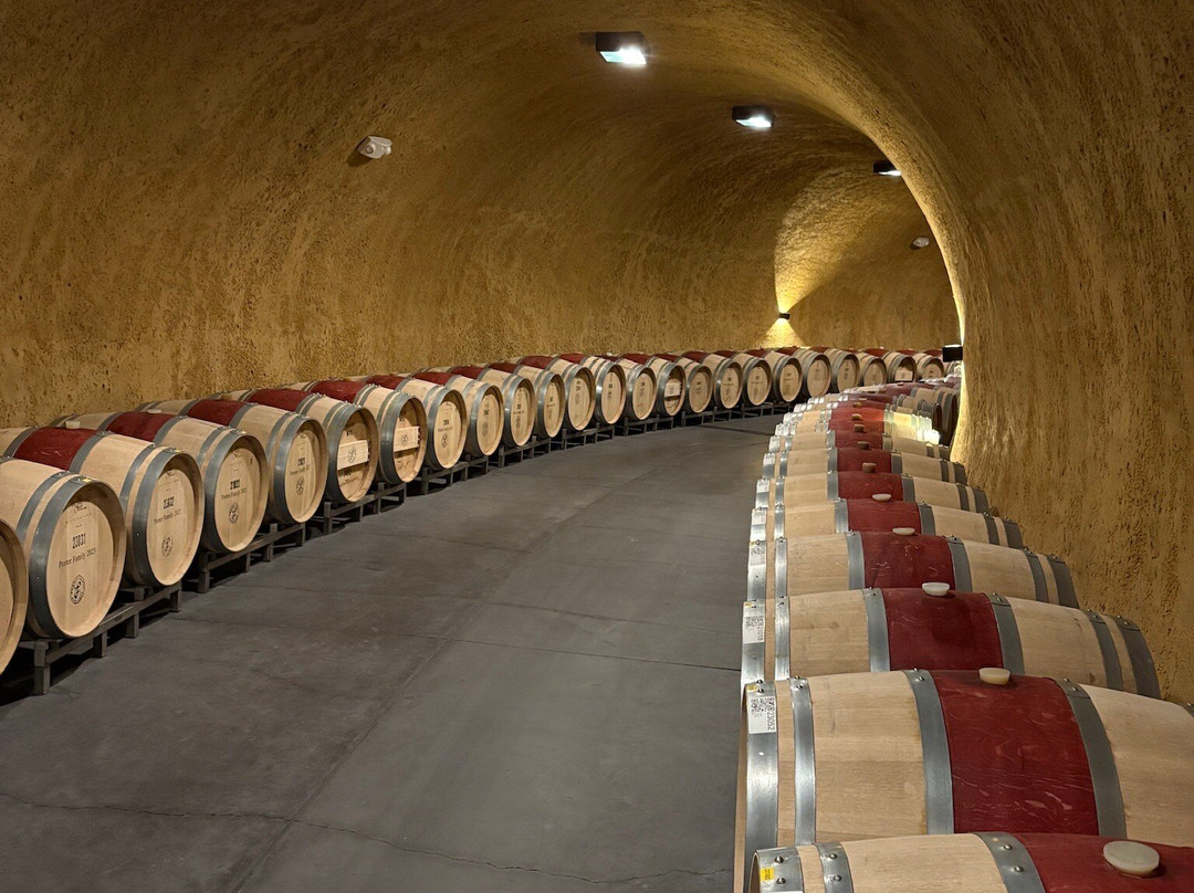 佩拉塔奢华之旅-纳帕必去景点