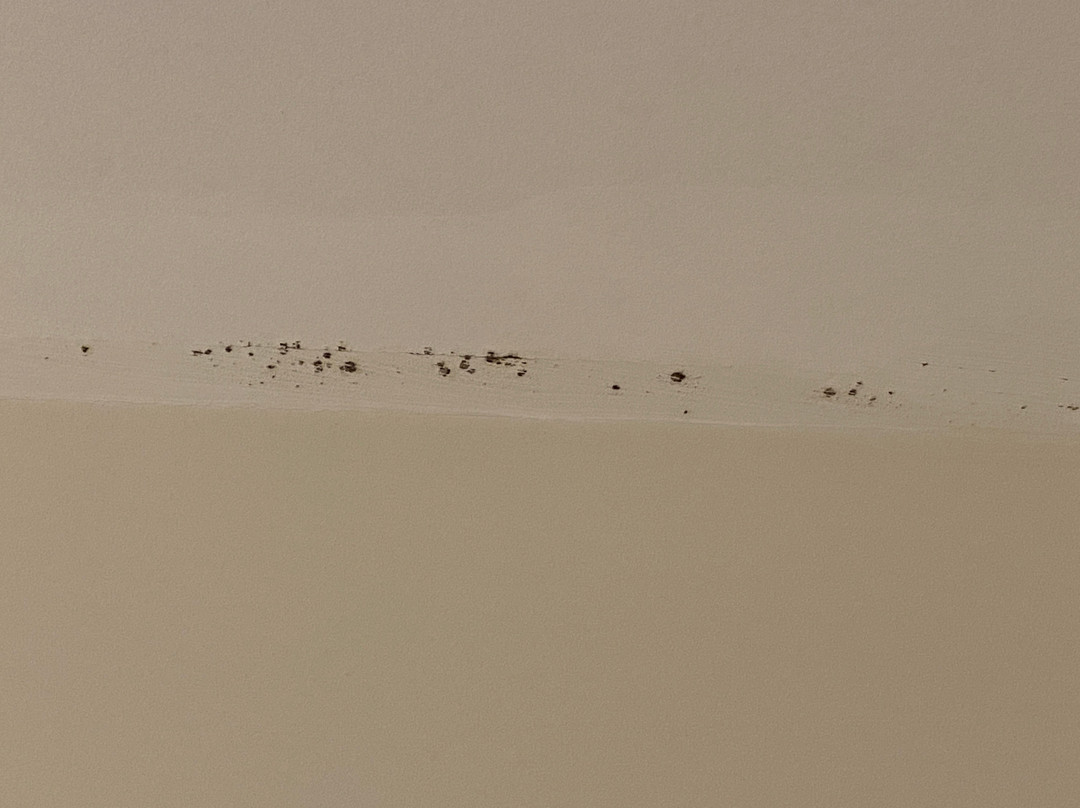 Premier Inn Newton Abbot hotel