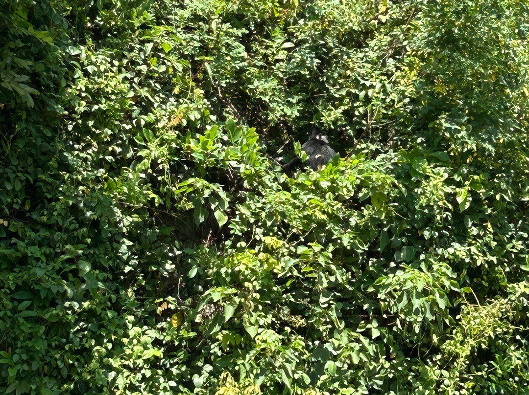 Van Long Nature Reserve-宁平必去景点