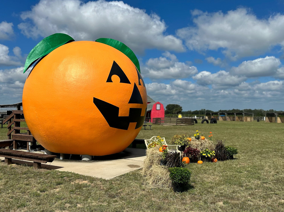 Sunsational Farms-Umatilla必去景点