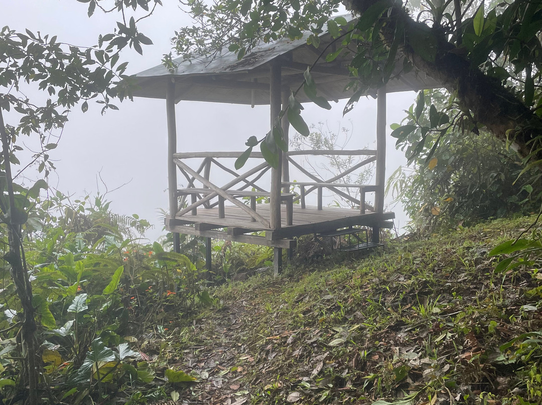 Yellow House Hiking Trails-明多必去景点