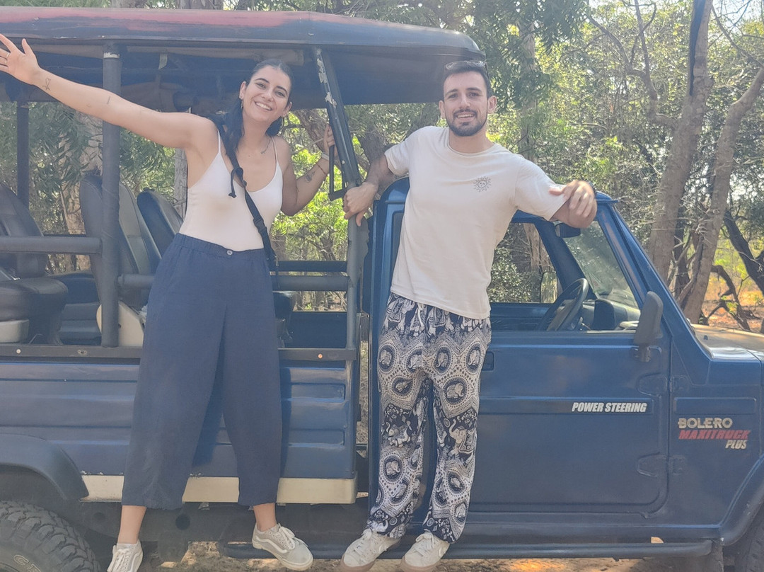 Southern Wild Safari-蒂瑟默哈拉默必去景点