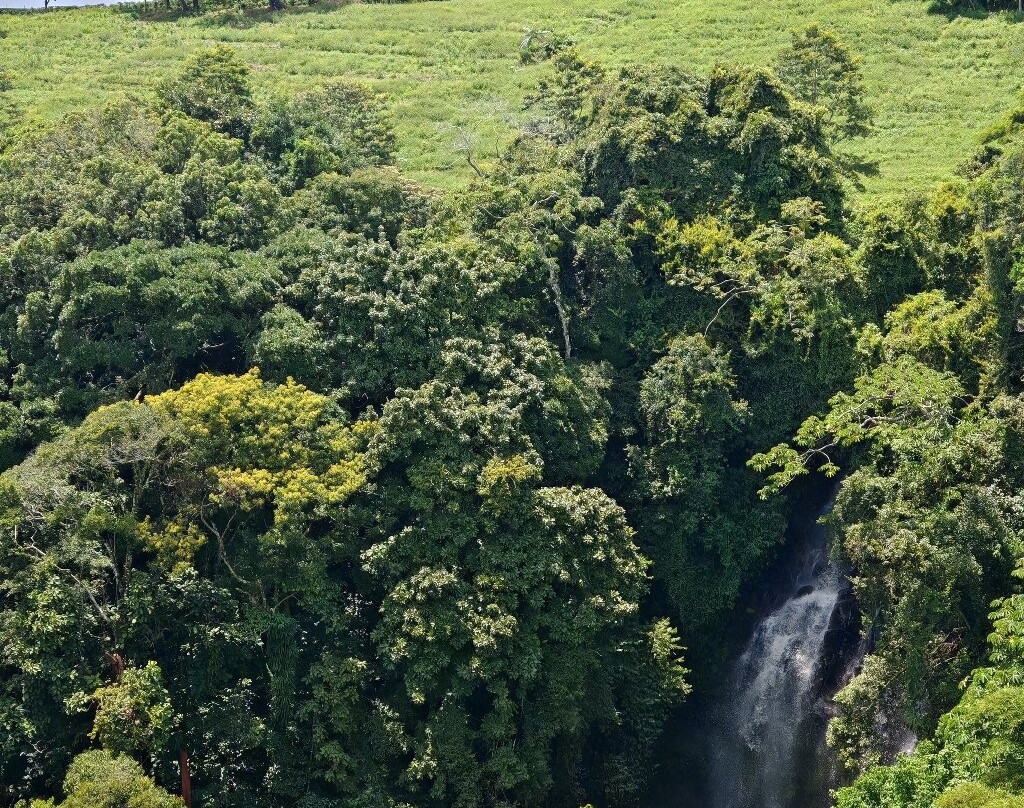 Hacienda Alsacia Starbucks Coffee Farm-Sabanilla必去景点