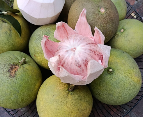 Hanoi Vespa and Jeep Tours - Explorer Rides-河内必去景点