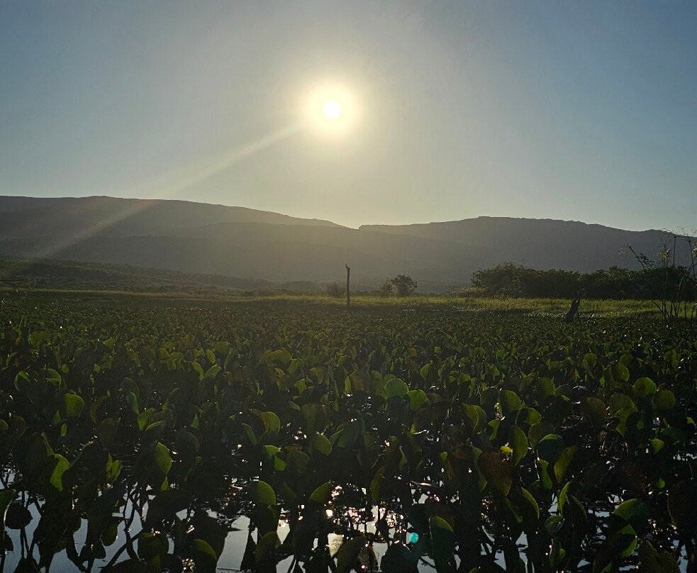 Fazenda Marimbus-迪亚曼蒂那国家公园必去景点