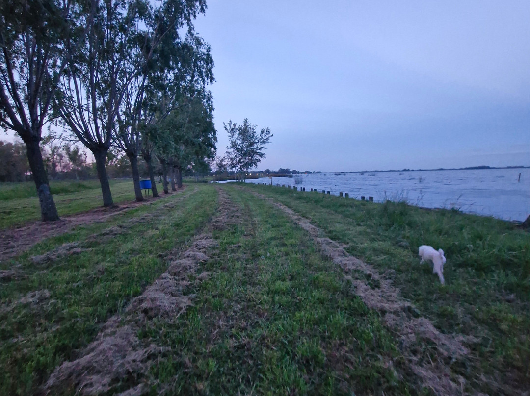 Laguna de Lobos-Lobos必去景点