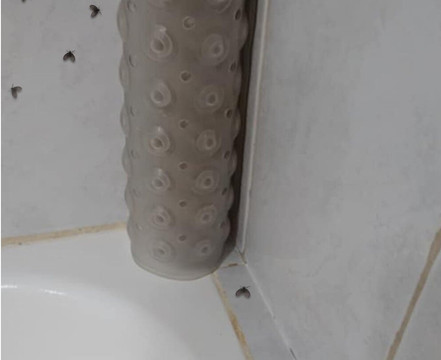 希瓦科阿记忆仅限成人全包酒店主图