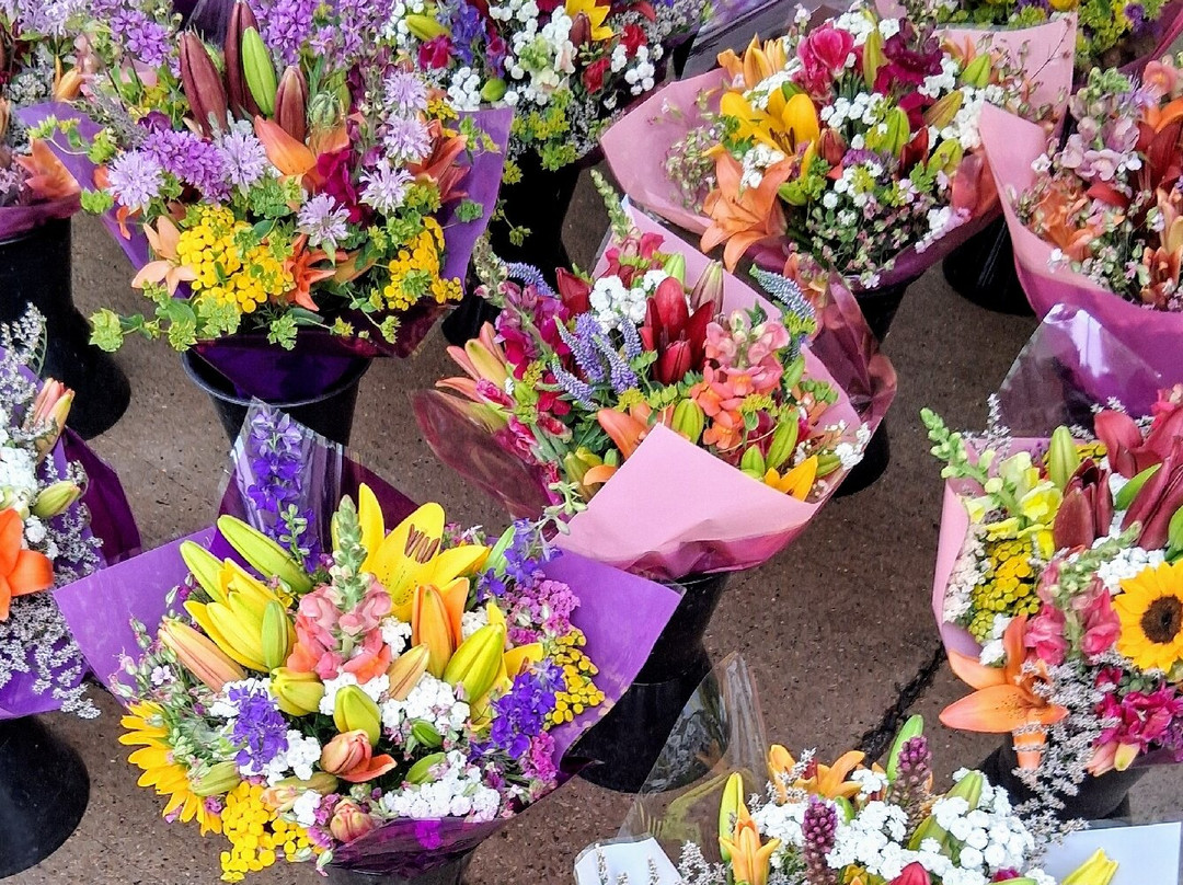 Oshkosh Farmers Markets-奥什科什必去景点