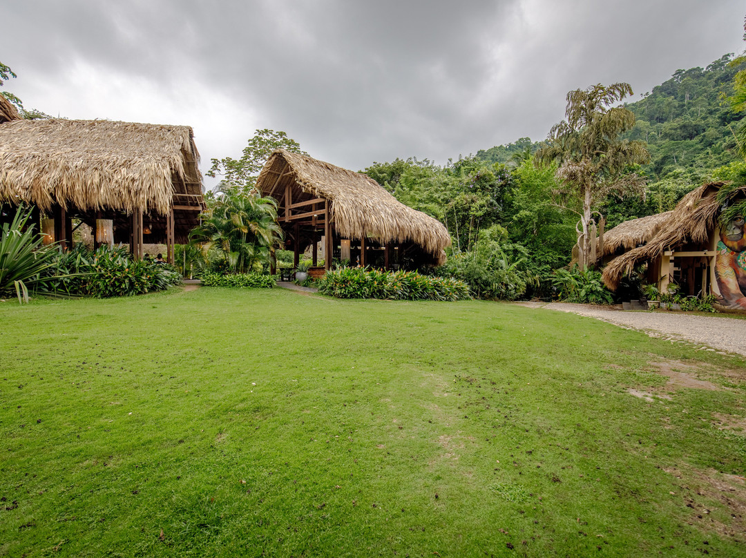 One Santuario Natural主图