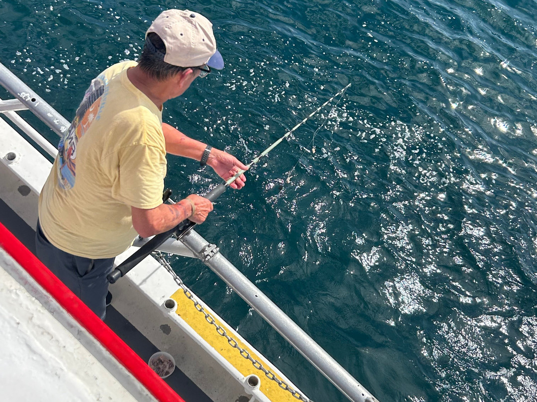 Little River Fishing Fleet-美特尔海滩必去景点