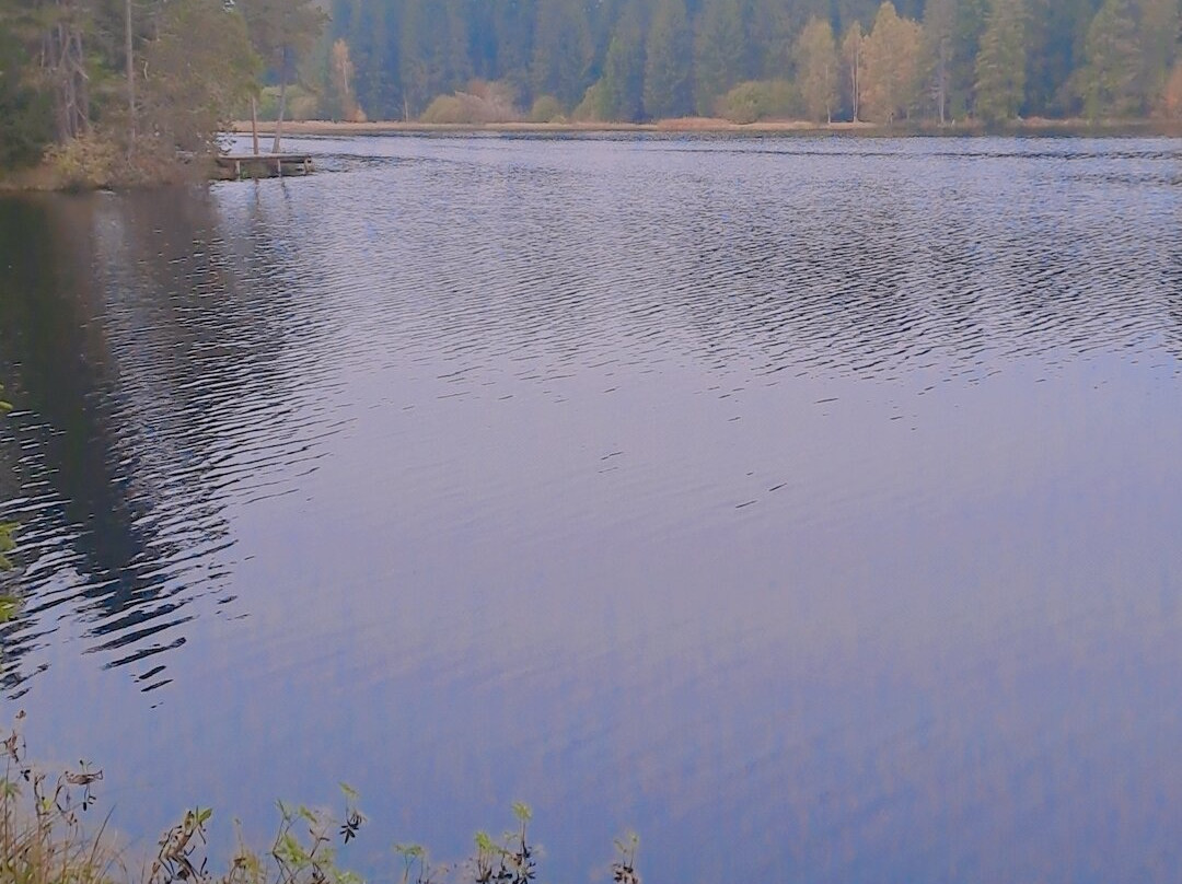 Etang de la Gruère-Saignelégier必去景点