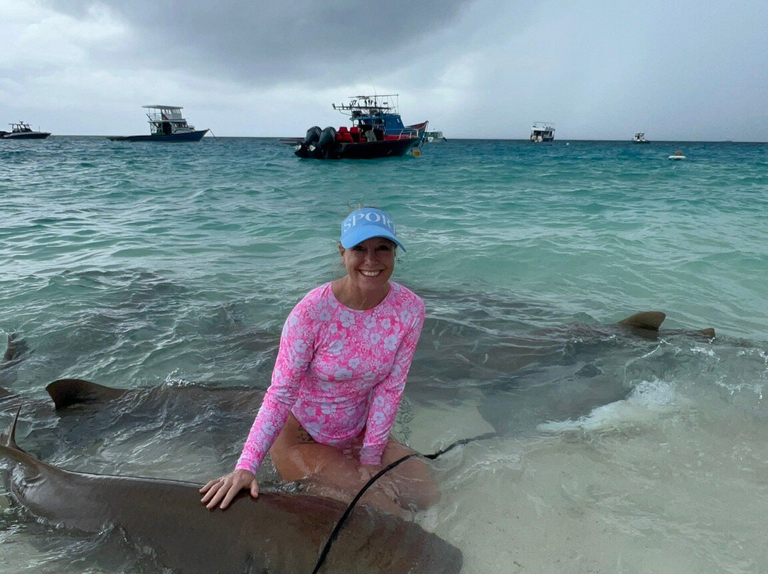 Blue Water Freediving School-伦敦必去景点