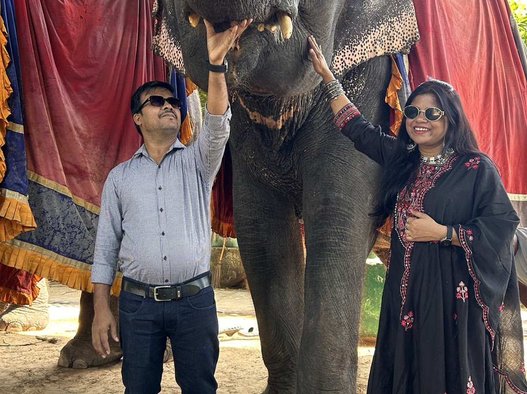 EleJungle-Amer必去景点