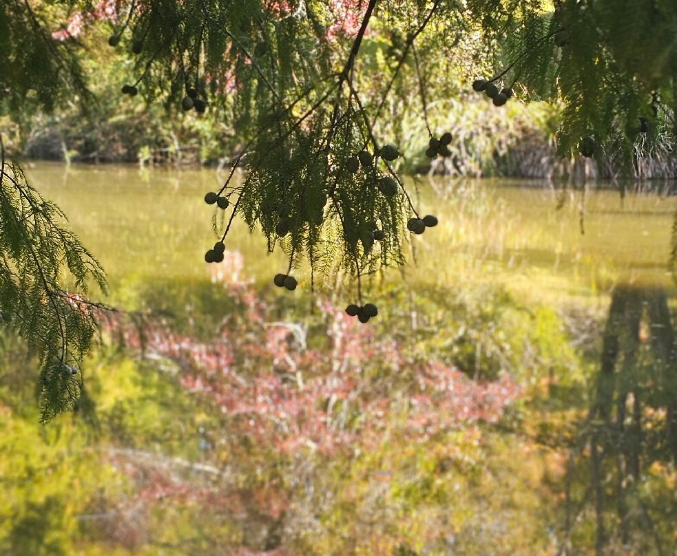 Giardini della Landriana-Tor San Lorenzo必去景点