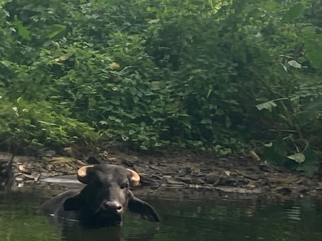 Barberyn Reef Ayurveda Resort主图
