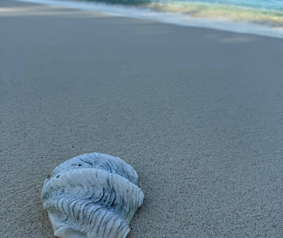 Dhoani Maldives Guesthouse主图