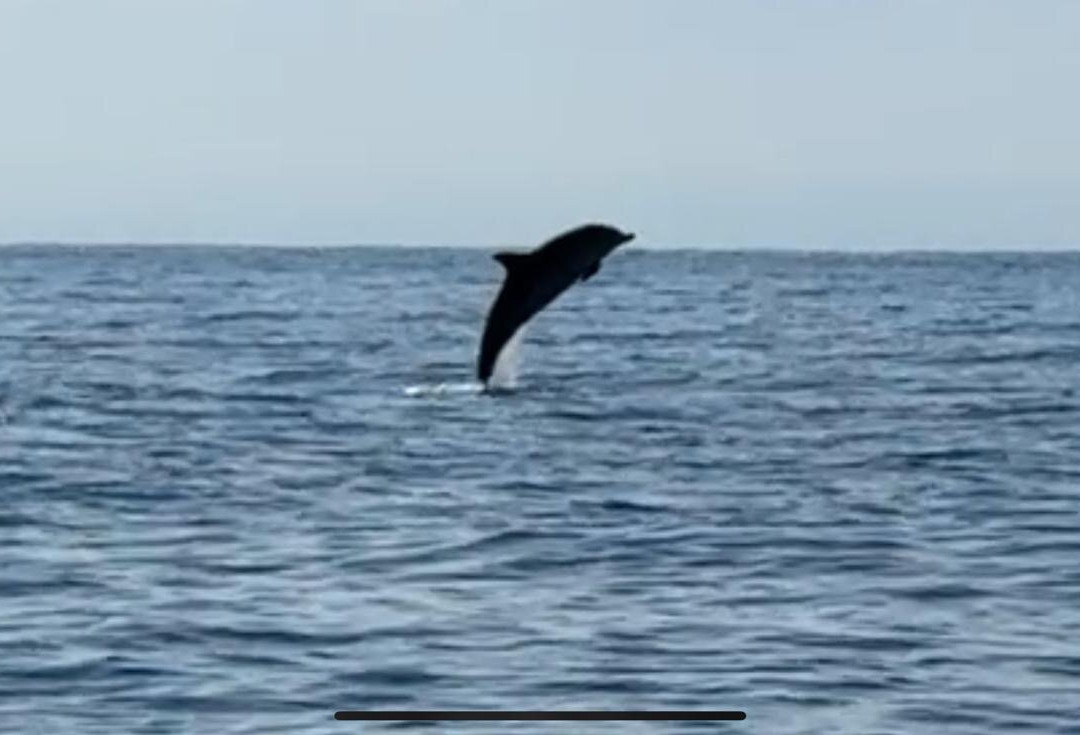 Il Faro Diving-Stazzo必去景点