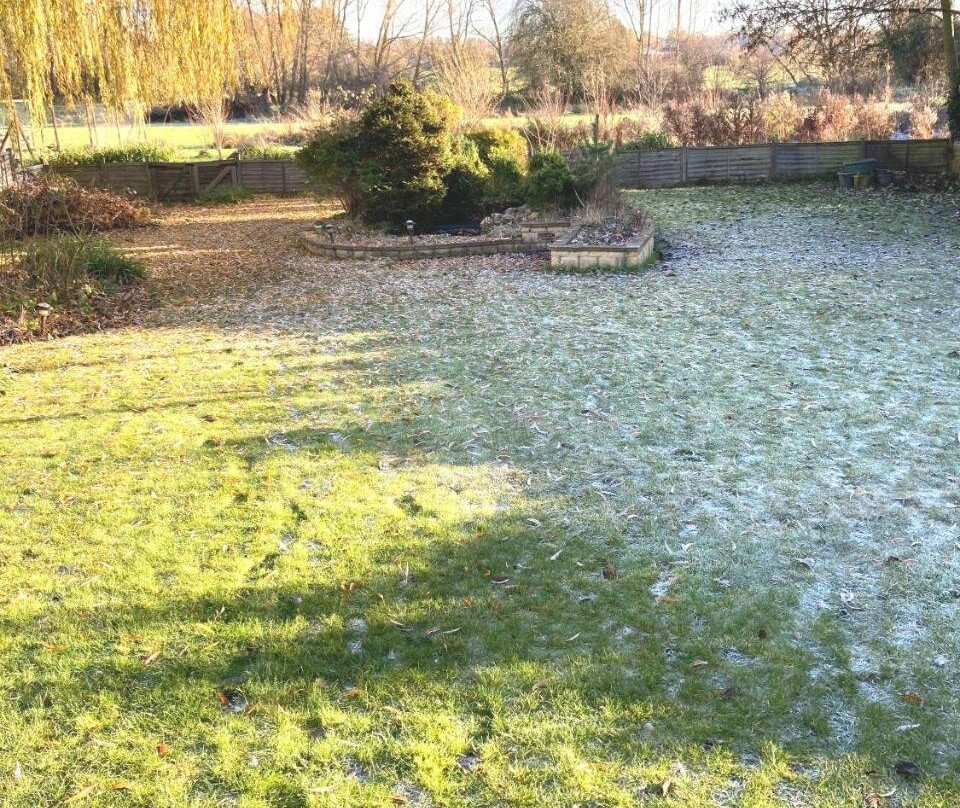 Brookside Willow