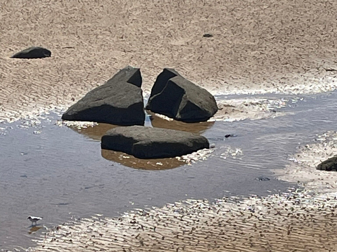 Elie Beach-Elie必去景点